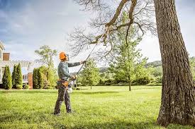 Best Tree Preservation Services  in Scaggsville, MD