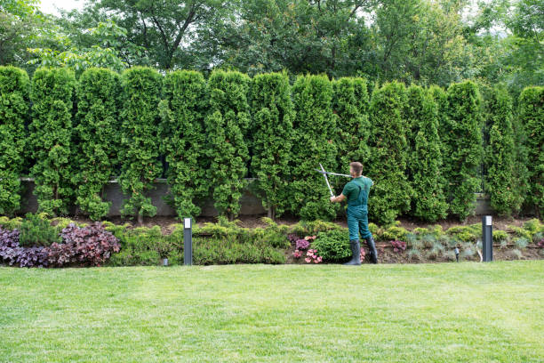 Landscape Design and Installation in Scaggsville, MD