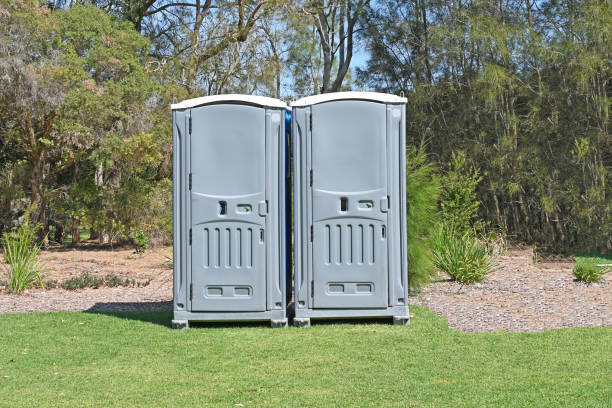 Best Pest Control for Lawns  in Scaggsville, MD
